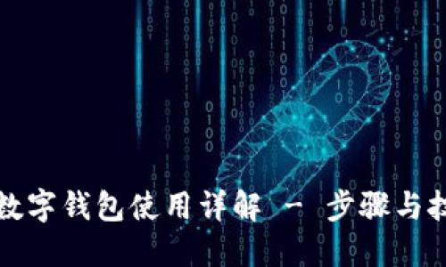 TP数字钱包使用详解 - 步骤与技巧