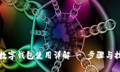 TP数字钱包使用详解 - 步骤与技巧