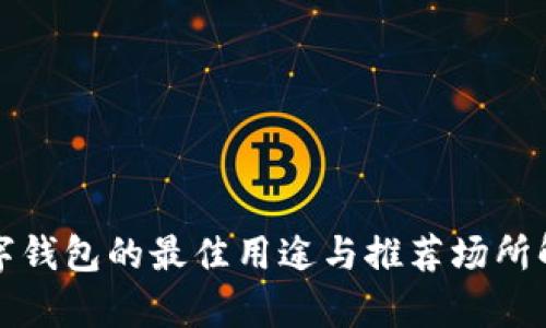 数字钱包的最佳用途与推荐场所解析
