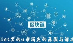 tpwallet里的u币消失的原因