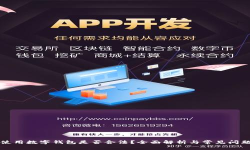 网上使用数字钱包是否合法？全面解析与常见问题解答