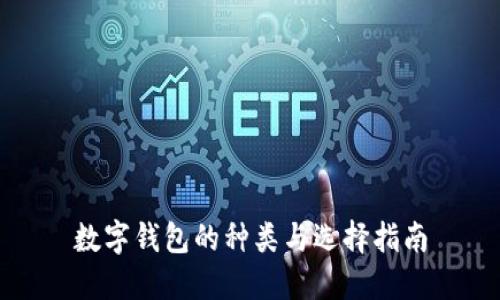 数字钱包的种类与选择指南