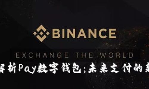 全面解析Pay数字钱包：未来支付的新选择