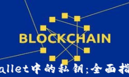 
如何查看TPWallet中的私钥：全面指南与注意事项