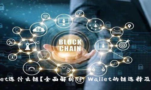 tpwallet选什么链？全面解析TP Wallet的链选择及其影响