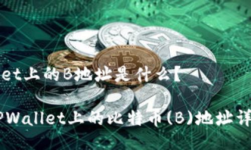 TPWallet上的B地址是什么？

biatiTPWallet上的比特币(B)地址详细指南