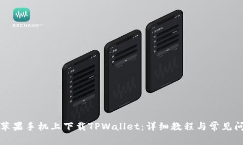 如何在苹果手机上下载TPWallet：详细教程与常见问题解答